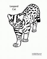 Coloring Pages Big Cats Cat Popular Coloringhome sketch template