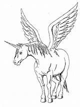Ausmalen Pferde Ausdrucken Einhorn Pegasus Unicornios Unicornio Pintar Unicorno Unicorni Alas Raskrasil sketch template
