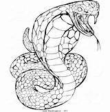 Coloring Rattlesnake Diamondback Pages Snake Printable Getcolorings sketch template
