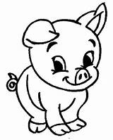Pig Coloring Pages Cute Guinea Baby Drawing Pigs Christmas Printable Cartoon Animal Kids Animals Minecraft Adorable Peppa Zoo Color Colouring sketch template