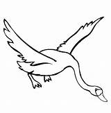 Cisne Voando Patos Dibujos Faroles Tudodesenhos Animalitos sketch template