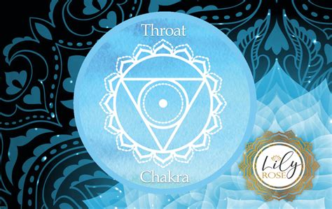 Chakra Knowledge Lily Rose Jewelry Co
