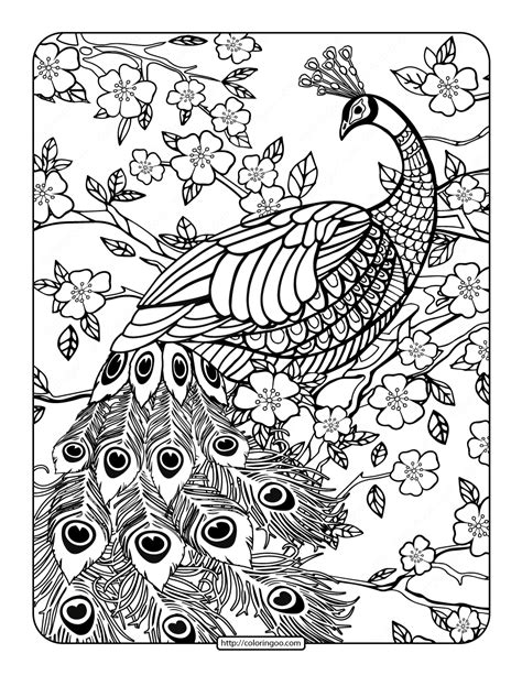 printable peacock coloring pages printable templates