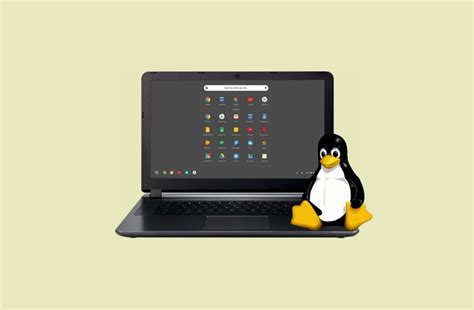 linux apps  chrome os    complete guide
