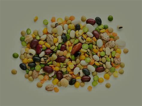black beans  pinto beans   healthier