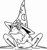 Magos Frog Tovenaar Zauberer Rana Mago Pintar Ausmalbilder Frosch Colorat Broscute Animale Malvorlagen Sapo Rane Colorare Vari Ausmalbild Fantasie Wizards sketch template