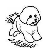 Bichon Dog Coloring Pages Puppy Drawing Book Care Frise sketch template