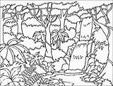 Rainforest Visitar Bosque Selva sketch template