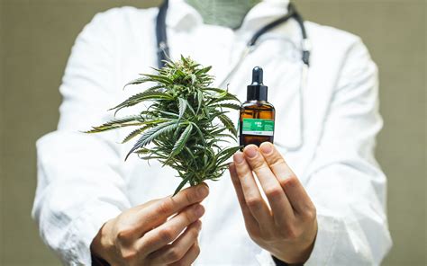 find  medical marijuana doctor leafly