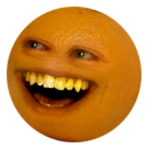 image   annoying orange   meme