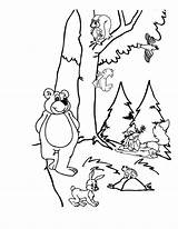 Forest Coloring Animals Kids sketch template