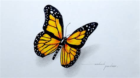 pretty butterfly drawing  getdrawings