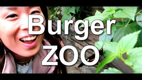 burger zoo  youtube