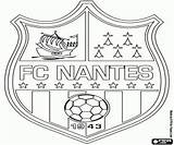 Nantes Calcio Stampare Ligue Udinese Francese Campionato Emblemi Emblema Coloringpagesonly sketch template