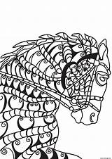 Cheval Cavallo Tete Zentangle Paard Paarden Pferd Mozaiek Malvorlage Caballo Mosaik Pferden Kleurplaten Adulte Head Paardenhoofd Supercoloring sketch template