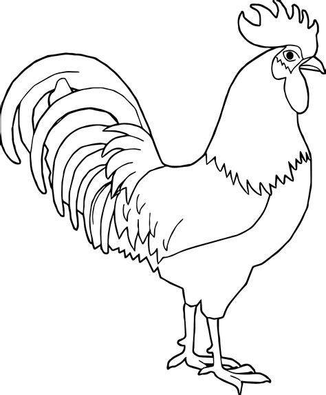 rooster coloring page  rooster coloring page wecoloringpage