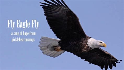 fly eagle fly youtube