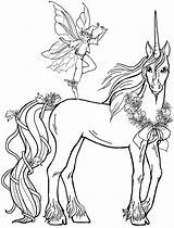 Fairies Unicorns Fantasy sketch template
