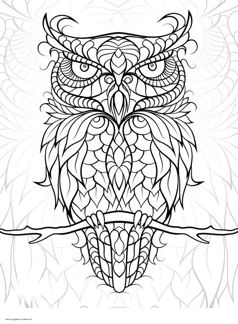 hard bird coloring pages birds  printable coloring pages  kids