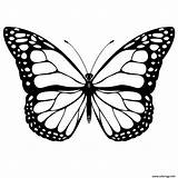 Coloriage Papillon Colorier Monarch Butterflies Mariposa Mariposas Templates sketch template