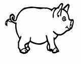 Coloring Bacon Pig sketch template