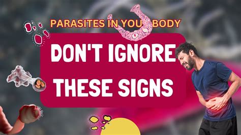 Don T Ignore These 15 Signs Of Parasitic Infection Youtube