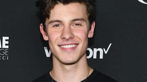 shawn mendes lost in japan lyrics will make you want to book your