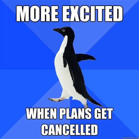excited  plans  cancelled socially awkward penguin quickmeme