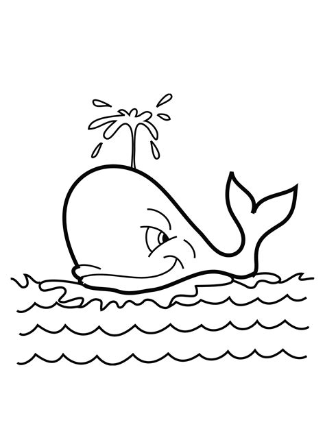 whale drawing cute  getdrawingscom   personal  whale
