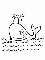 Whale Coloring Pages Kids Printable sketch template