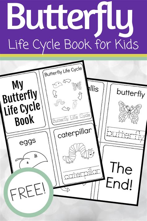 butterfly life cycle printable book butterfly life cycle lessons