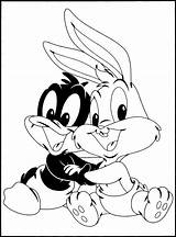 Looney Tunes Daffy Ausmalbilder Ausmalbild Gangster Coloringtop Coloringhome Bunnies sketch template