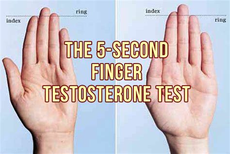The 5 Second Finger Testosterone Test Musclehack