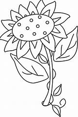 Matahari Mewarnai Sunflower Colorare Disegni Girassol Ausmalbilder Sonnenblume Colorir Pintarmewarnai Malvorlagen sketch template