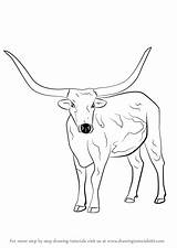 Longhorn Cattle Draw Step Drawing Animals Drawingtutorials101 Drawings Cow Coloring Farm Steer Tutorials Previous Next Bull Horse sketch template