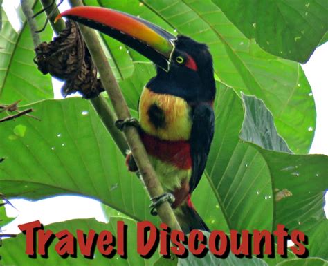cr surf travel discounts  coupon codes costa rica travel experts surf trips hotels car
