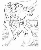 Colorare Pascolo Mucche Disegno Montagna Fazenda Animais Mucca Pastore sketch template