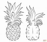 Ananas Nanas Abacaxi Mewarnai Pineapples Meio Cortado Untuk Hitam Putih Supercoloring Frutta Entier Colouring Tudodesenhos Marimewarnai Querschnitt Pinapple Extraordinaire Tattoo sketch template