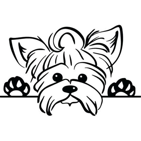 yorkie coloring pages  coloring pages  kids kitty tattoos dog