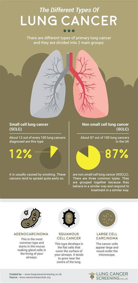 types  cancers cancer types study tips study hacks signs  lung