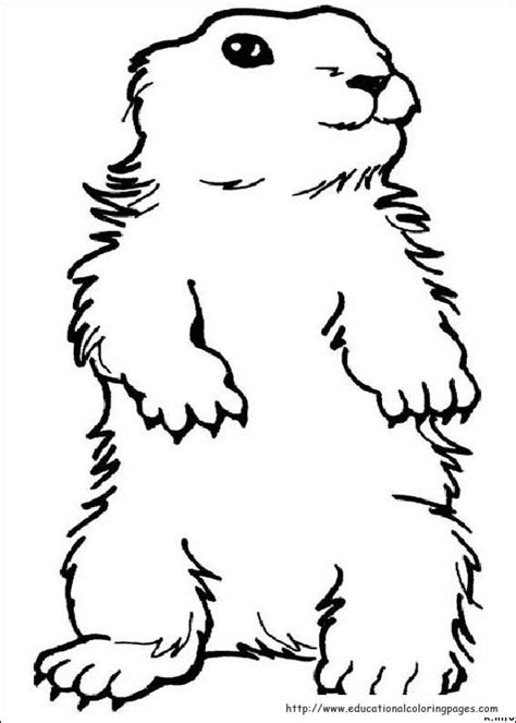 groundhog day coloring pages educational fun kids coloring pages