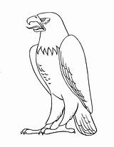 Eagle Coloring Pages Kids sketch template