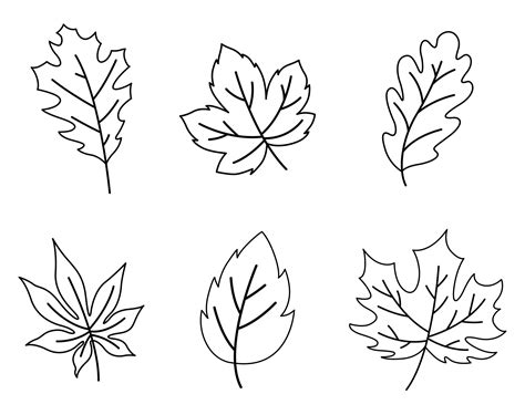 images  printable fall leaves shapes printable leaf shapes