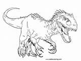 Jurassic Coloring Rex Pages Indominus Printable Dinosaur Print Kids Adults Color Vs Park Dinosaurs Sheets Realistic Tyrannosaurus Sketch Easy sketch template