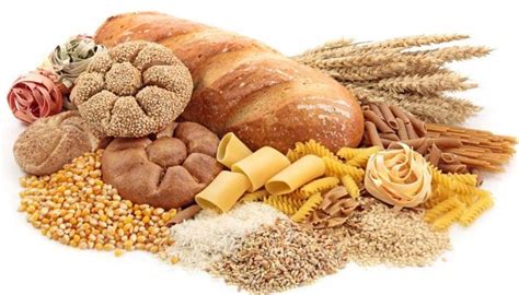 types  carbohydrates  bodies      carbs