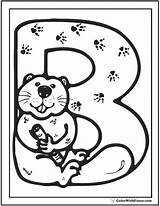 Beaver Beavers sketch template