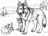 Colorir Lobos Wolves sketch template