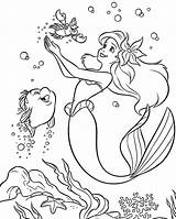 Sereia Ariel sketch template