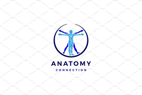 human body connection anatomy logo  gagavastard  dribbble