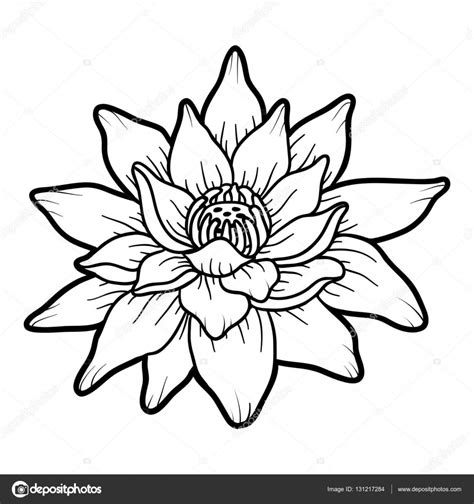flor de lotus  colorir